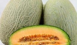 陈妮妮现在免费吃瓜,揭秘娱乐圈幕后故事