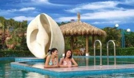 大连温泉明星爆料视频大全,精彩瞬间大盘点